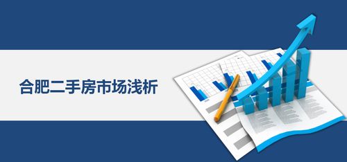 合肥二手房市場(chǎng)淺析 基于數(shù)據(jù)可視化的投資管理與咨詢(xún)視角