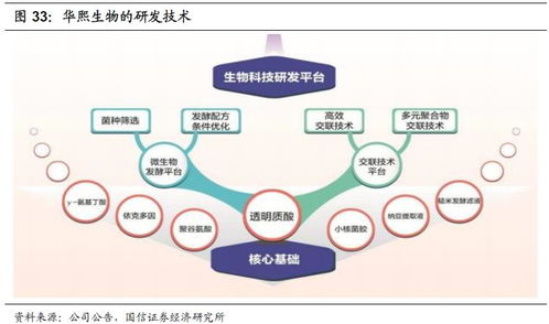 化妝品行業(yè)2020年投資展望 產(chǎn)品先行，流量催化，資本助力